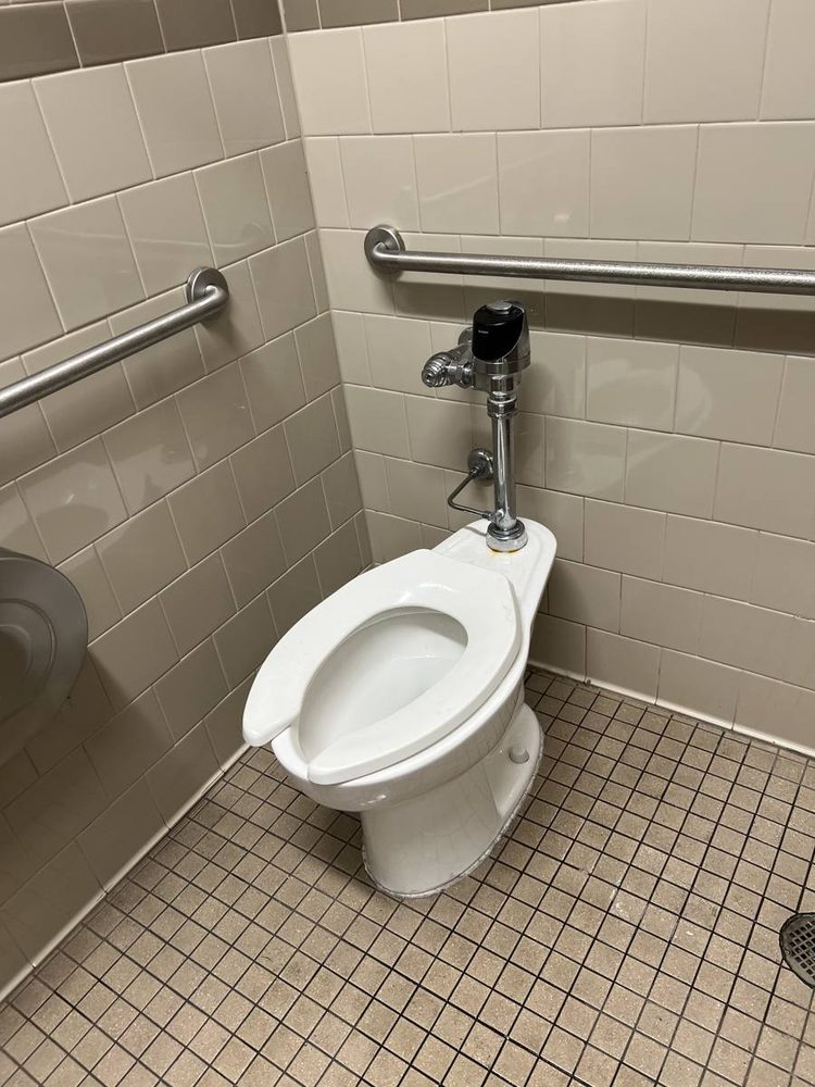 Bathroom grab bar anchored to the wall beside a tub and shower
