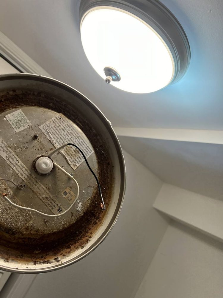 Light fixture mounted and wired to a ceiling